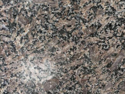 新皇室(shi)啡(fei)